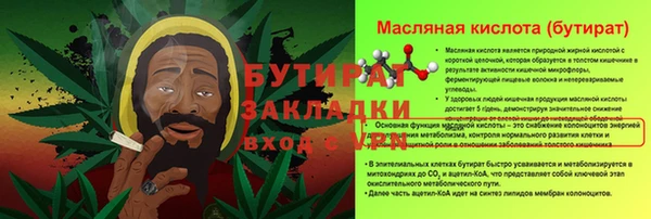шишки Покачи