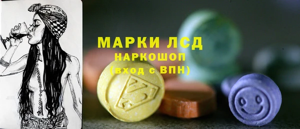 шишки Покачи