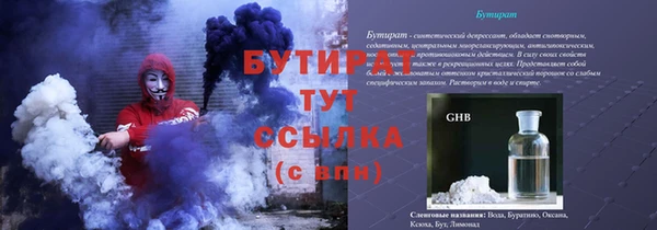 шишки Покачи
