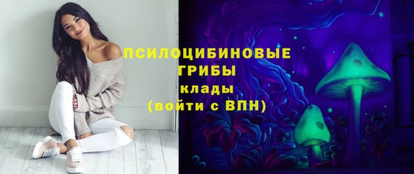 apvp Покров