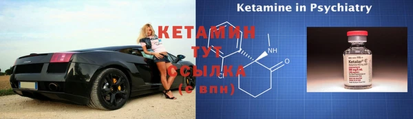 шишки Покачи