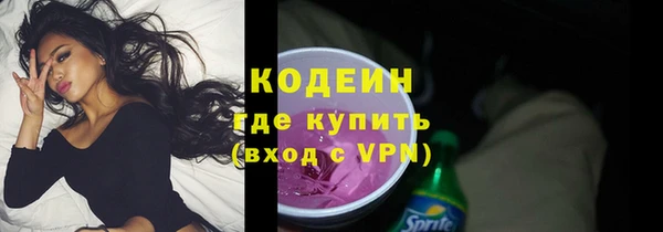 шишки Покачи