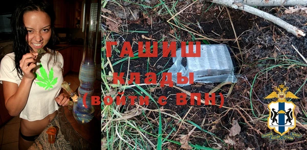 шишки Покачи