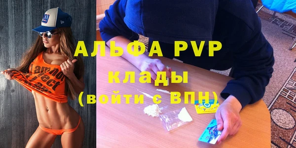 шишки Покачи