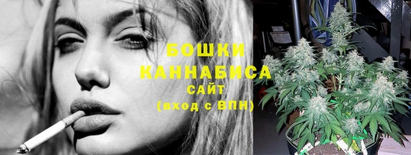 шишки Покачи