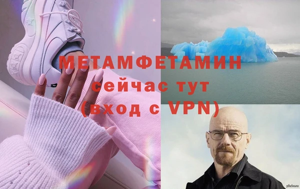 шишки Покачи