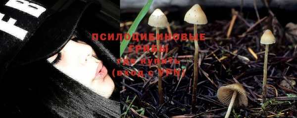 шишки Покачи