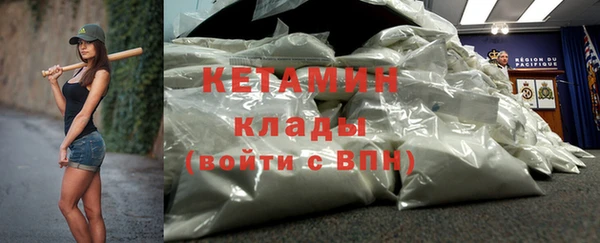 шишки Покачи