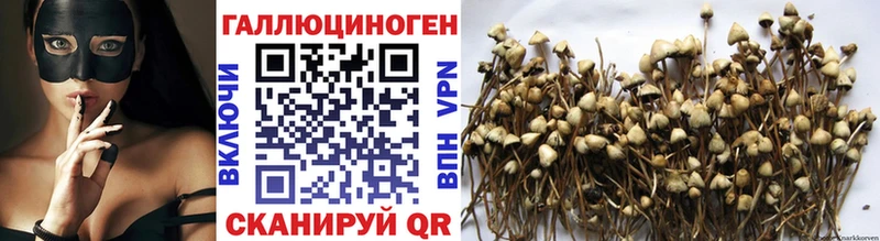 Псилоцибиновые грибы прущие грибы  Купить где  Томилино 